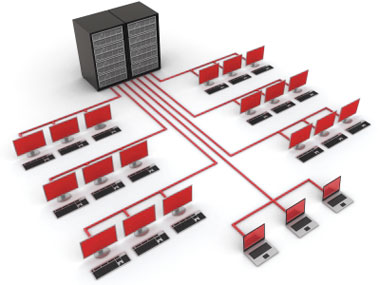 Network Evaluation